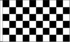 Checkered Hand Flags